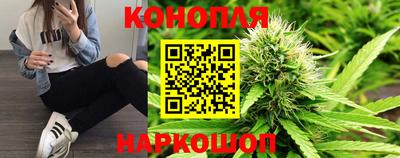 прущие грибы Будённовск
