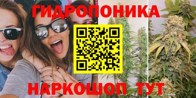 прущие грибы Будённовск