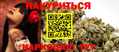 прущие грибы Будённовск